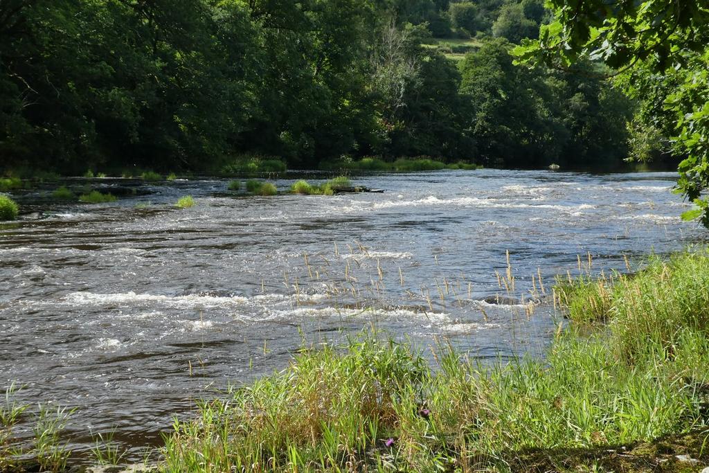 Nyth Ferry & Jack Dunn Pools