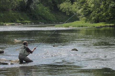 undefined, The Nyth & Tyr-Celyn Fishery & Lodge, Erwood, Builth Wells, LD2