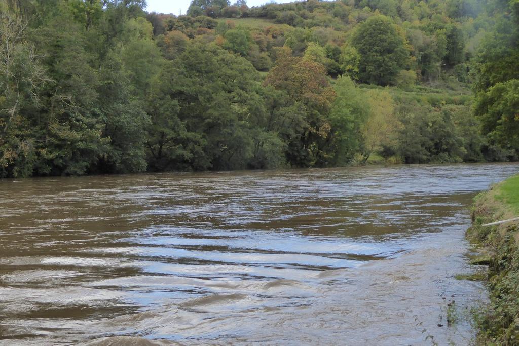 Nyth Cafn In Flood