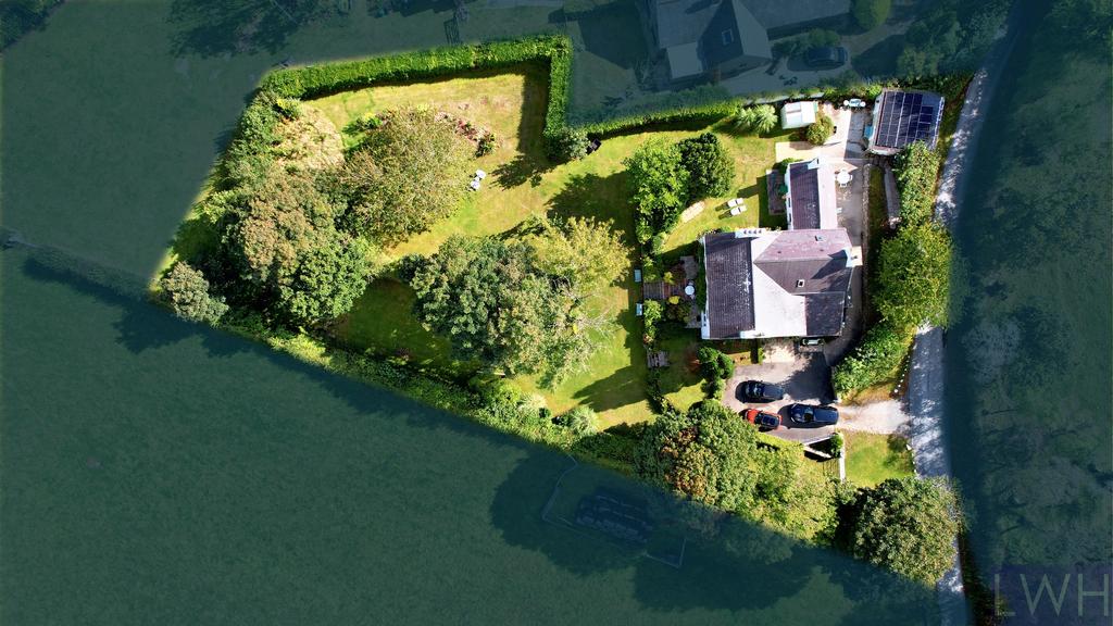Plot View