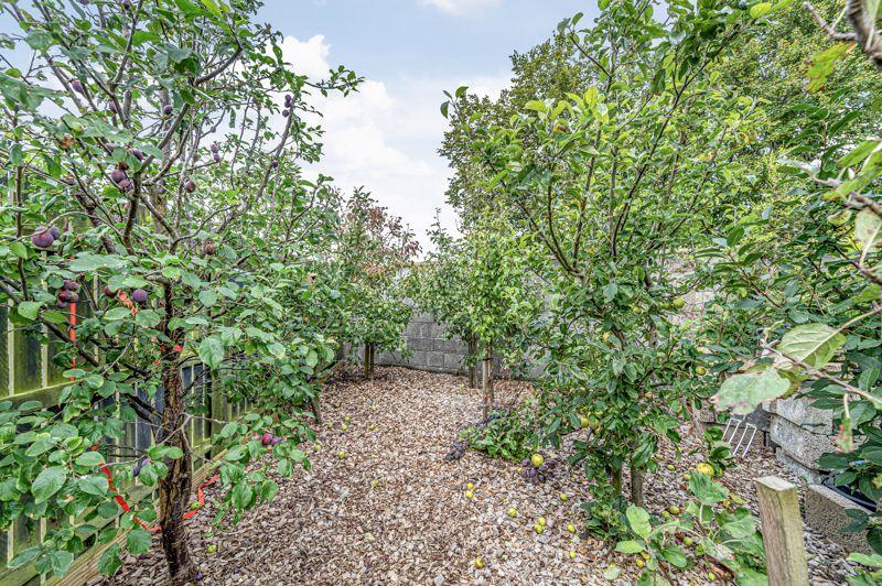 Garden Grounds