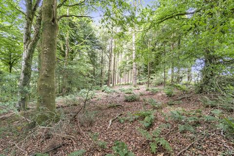 undefined, Cotleigh, Honiton