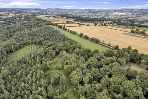undefined, Cotleigh, Honiton