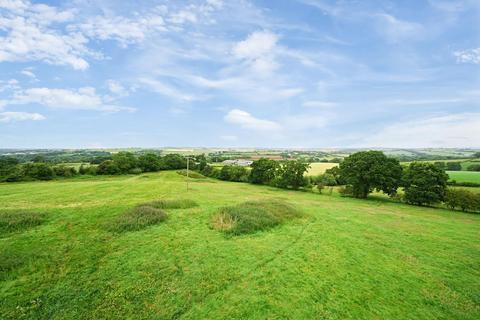 undefined, Neopardy, Crediton