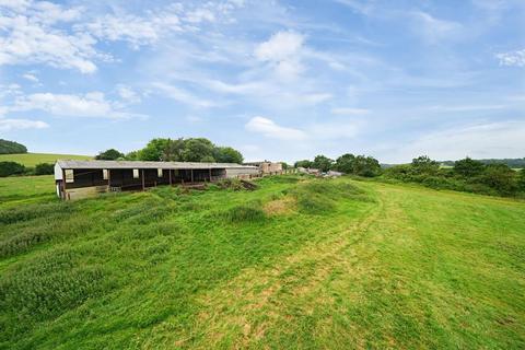 undefined, Neopardy, Crediton