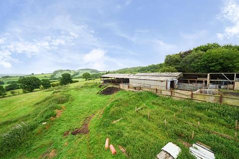 undefined, Neopardy, Crediton