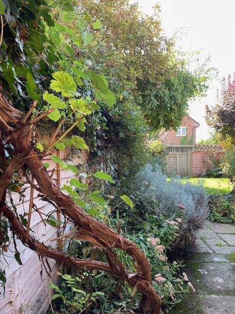 Garden.jpg