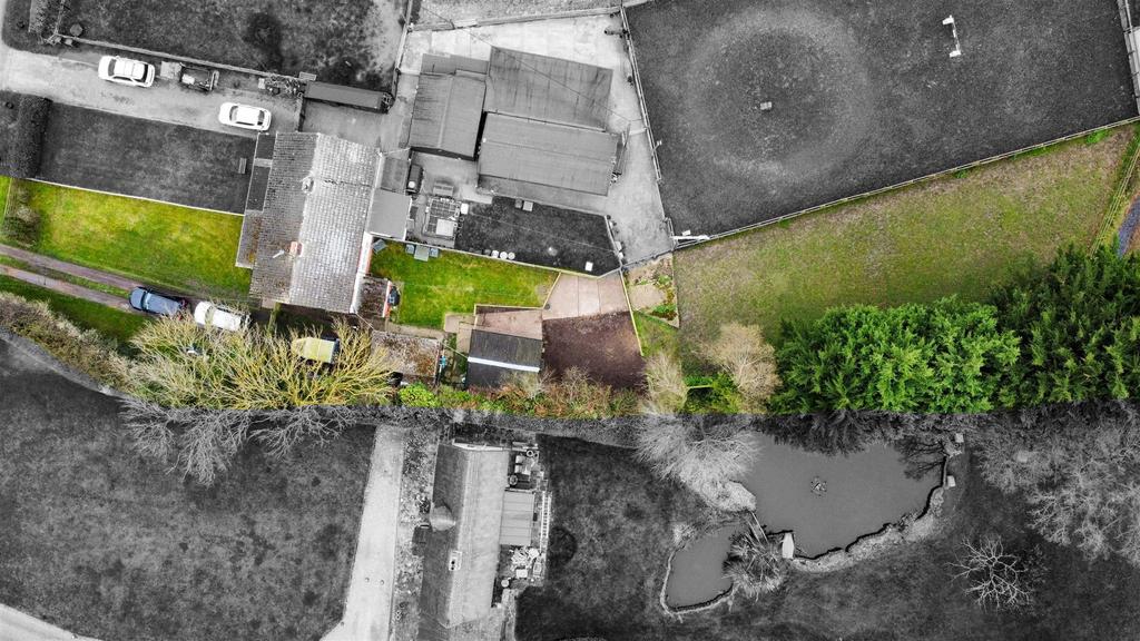 Dji fly 20240322 120528 199 1711115251845 photo op