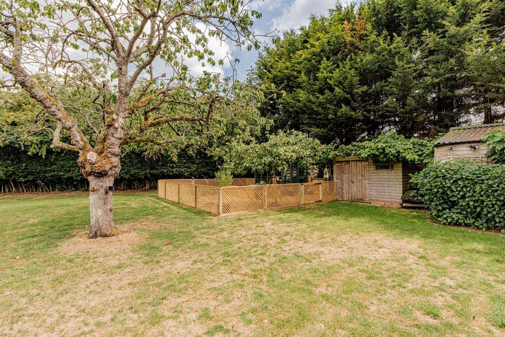 Rear Garden (2)