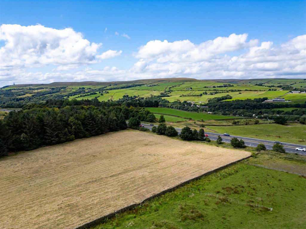 DJI 0008.jpg