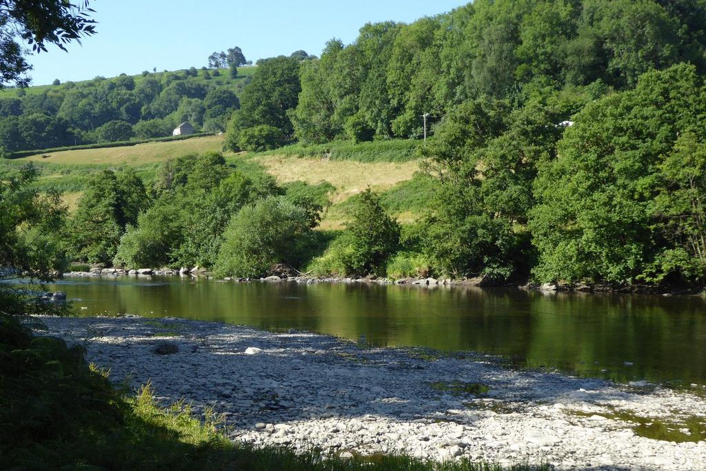 Nyth Gravels Trout & Grayling Shallows