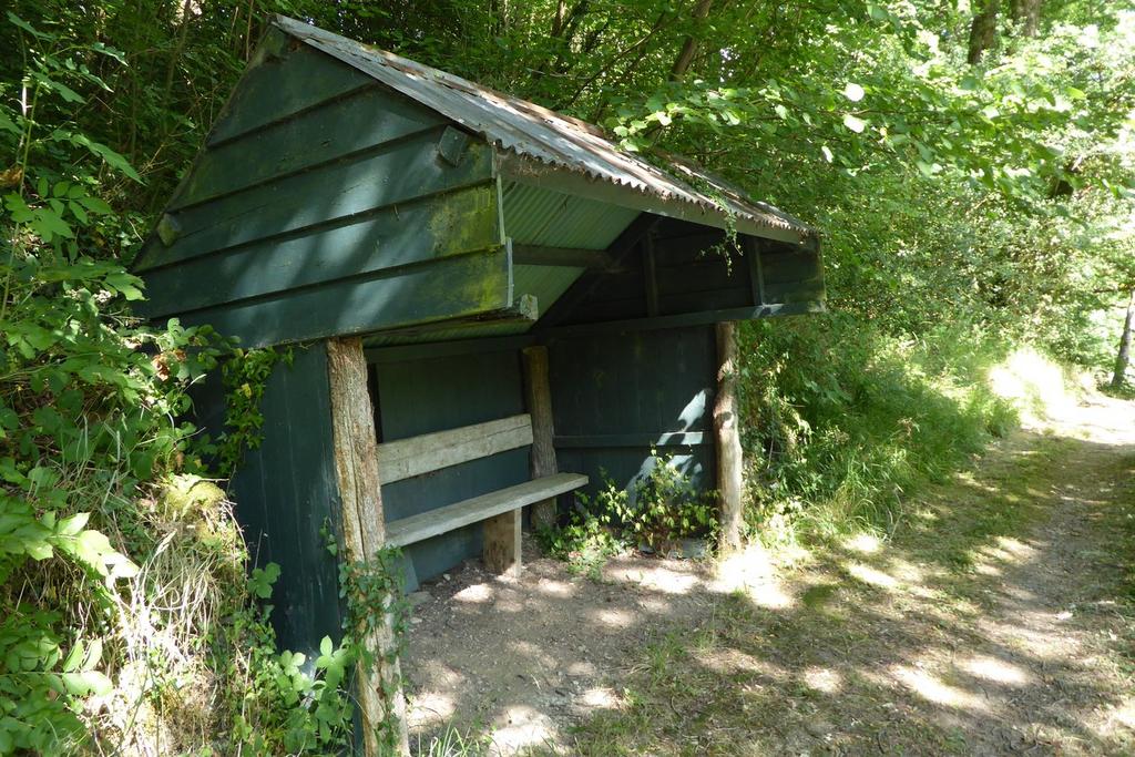 Nyth Woodland Shelter