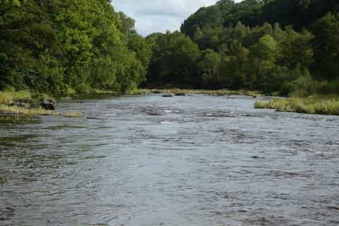 undefined, Nyth Riverside Lodge - A Holiday Home With Fishing Rights, Erwood, Builth Wells, LD2
