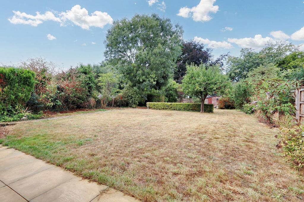 Garden 1