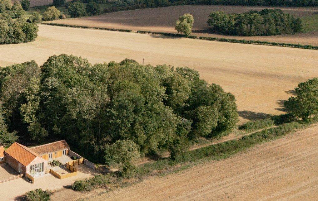 Aerial Image