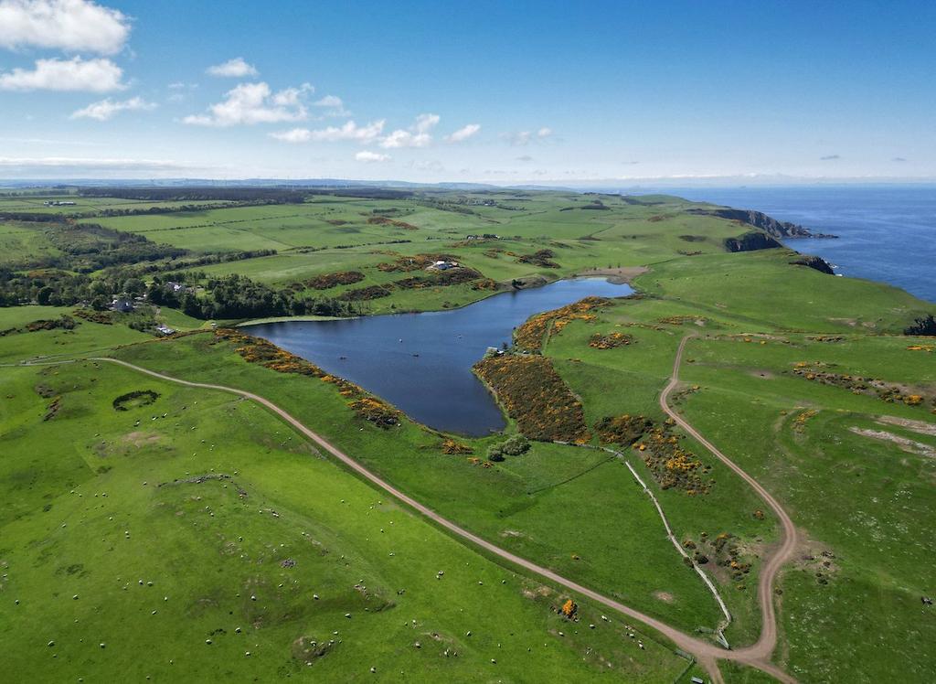 Drone Image