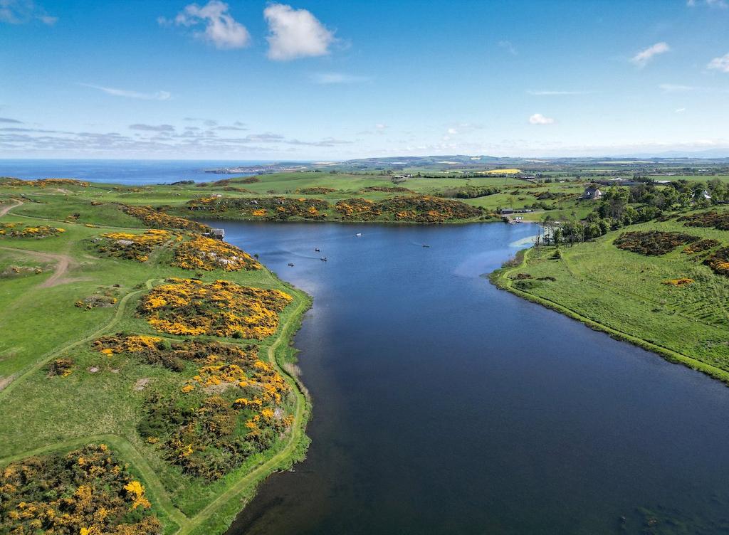 Drone Image