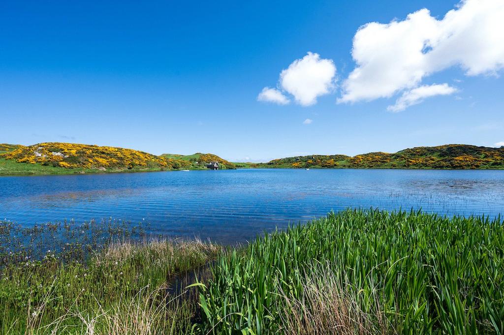 View From Lochside