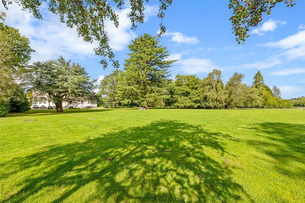 Communal Grounds