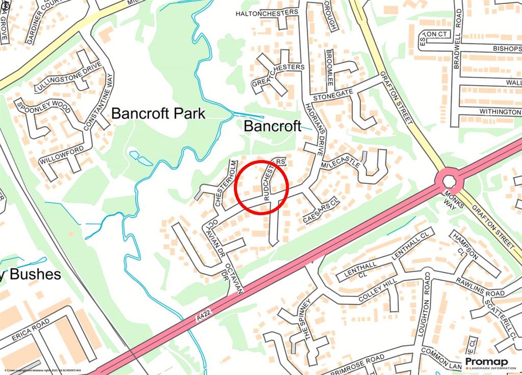 Street Map