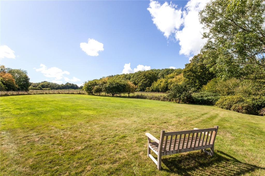 Back Garden