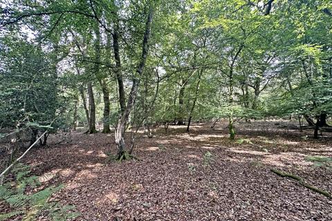 undefined, Summer Lane, Exbury, SO42