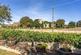 Additional image 24 of Weston Road, Egmanton, Newark, Nottinghamshire, NG22