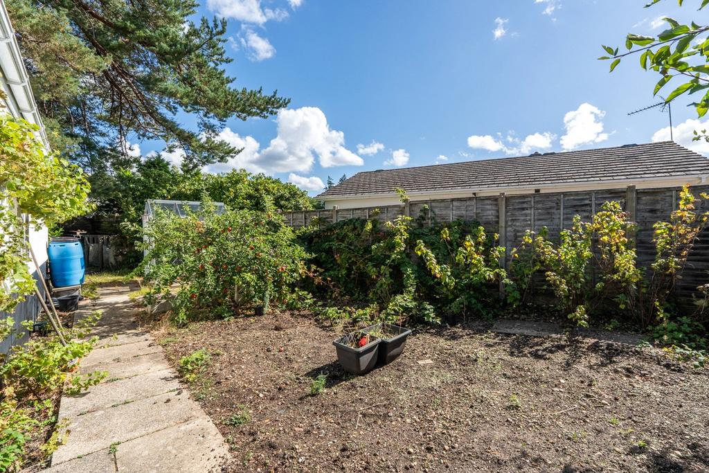 Vegetable Garden