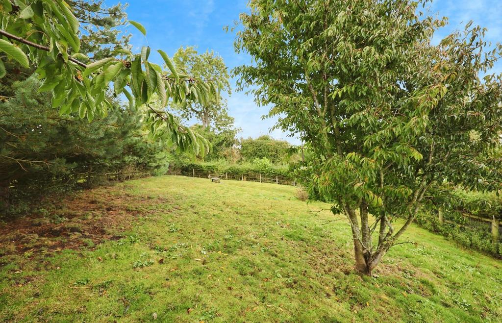 9ab4b9f9-PK7 A6911.JPG