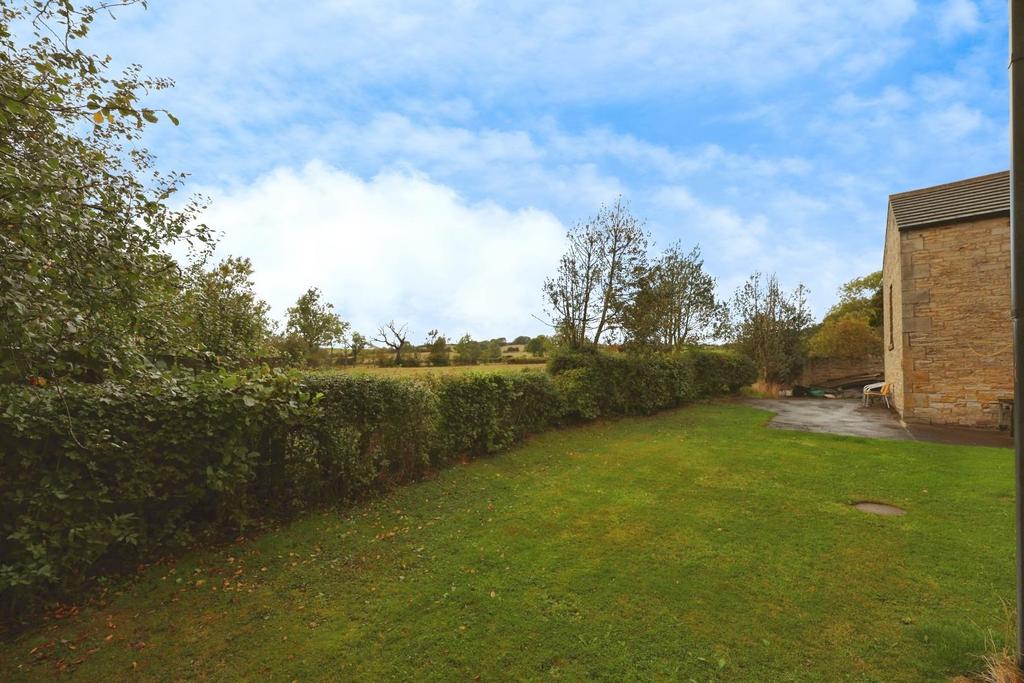 C050e8e8-PK7 A6948.JPG