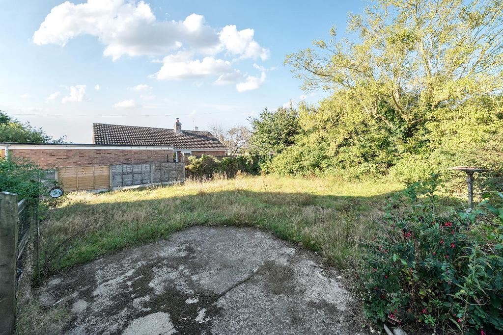 Garden 2.jpg