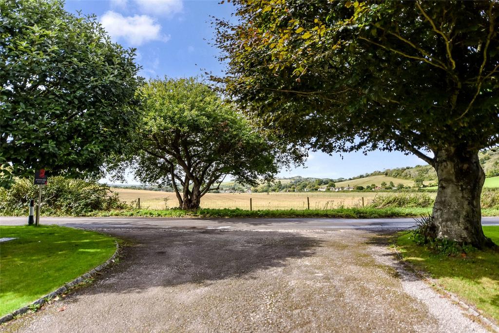 Driveway & View