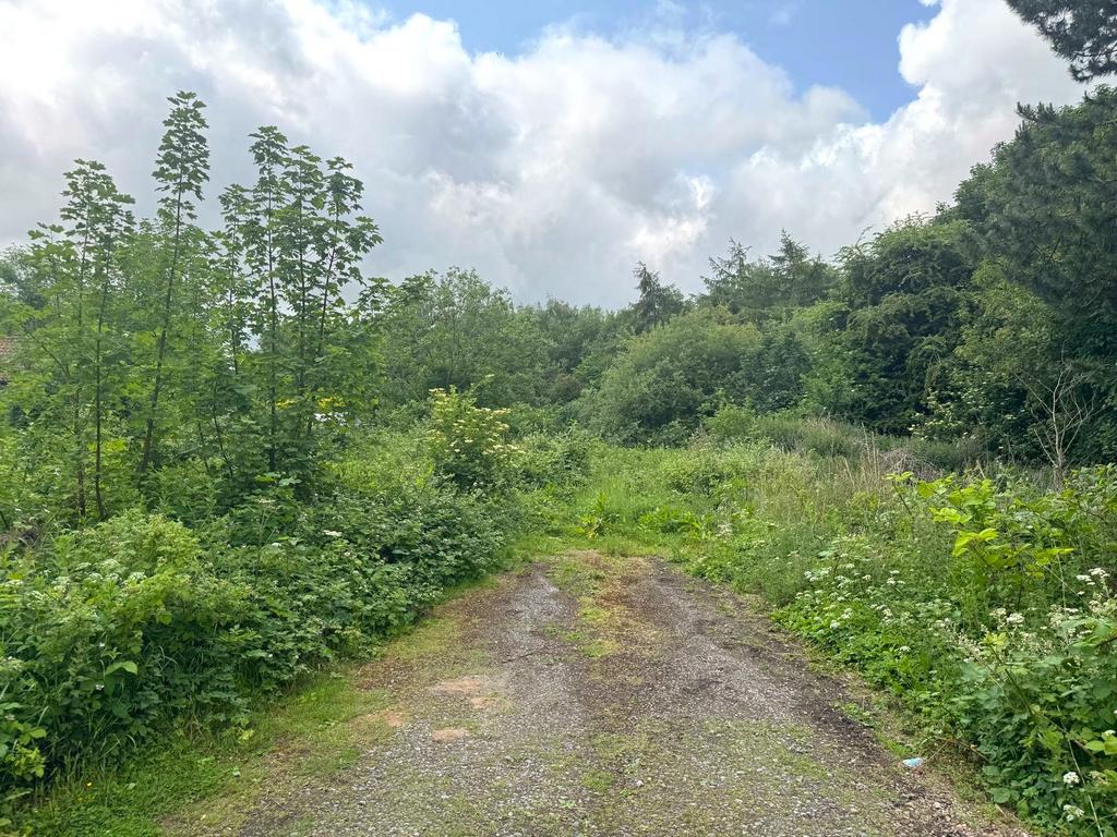 Whats App Image 2025-09-11 At 15.58.11 A266f823...