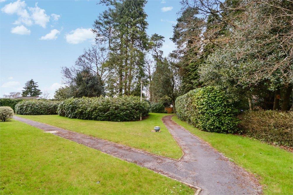 Communal Grounds