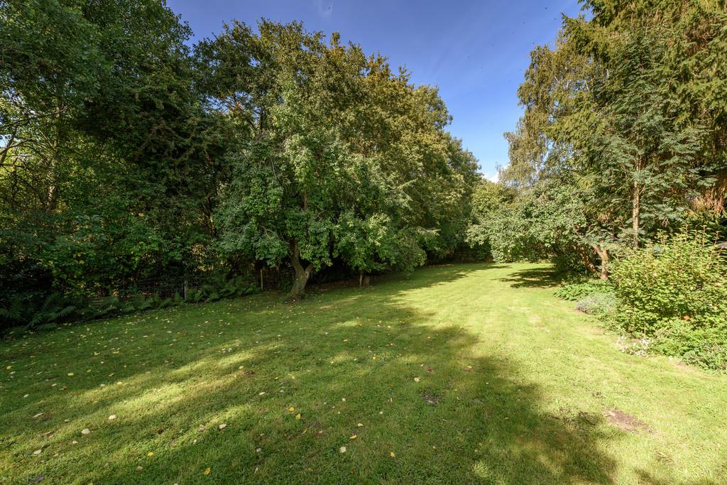 Orchard Area