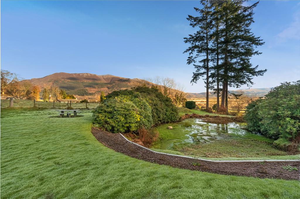 Communial Grounds