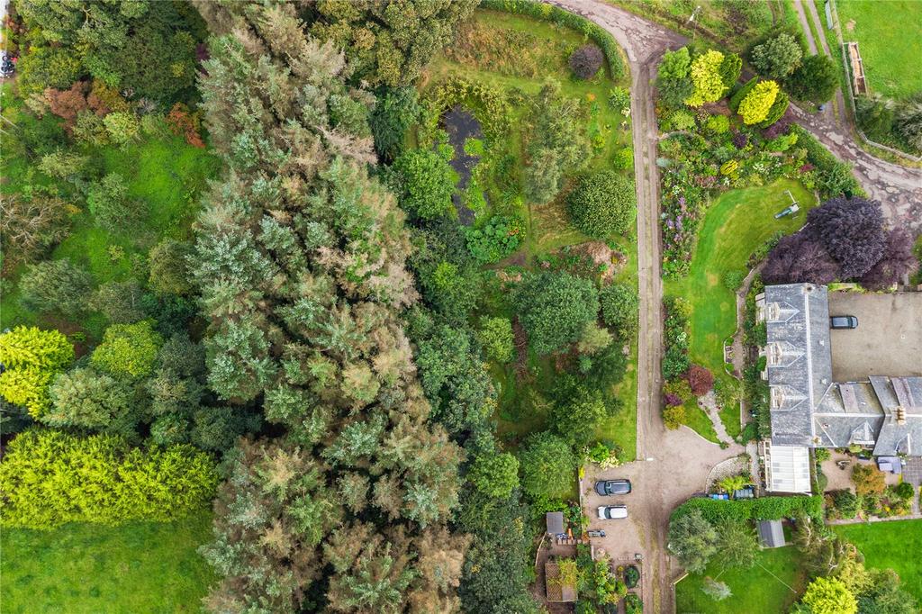 Grounds