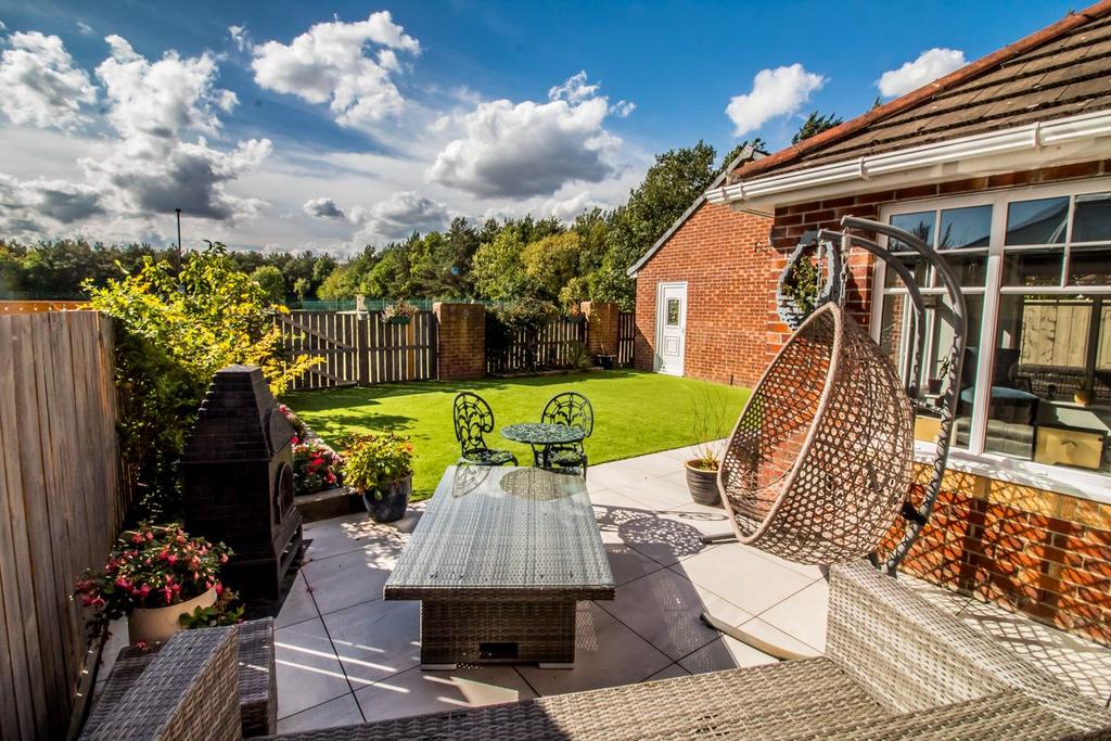 Rear Garden Pic 2.