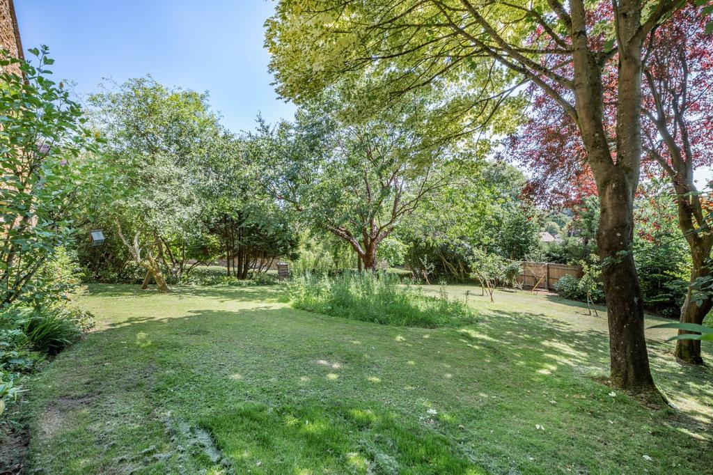 Side Lawn