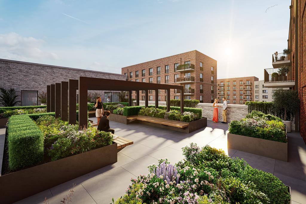 Cgi
