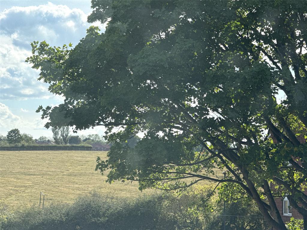 Outlook