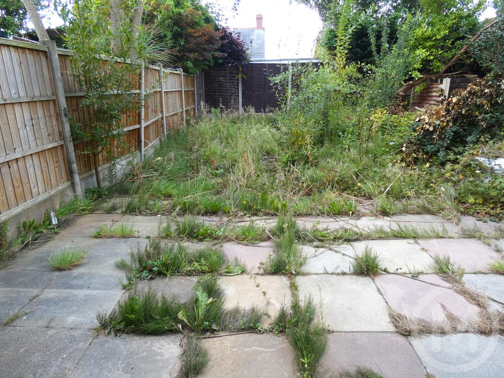 P1140855a.JPG