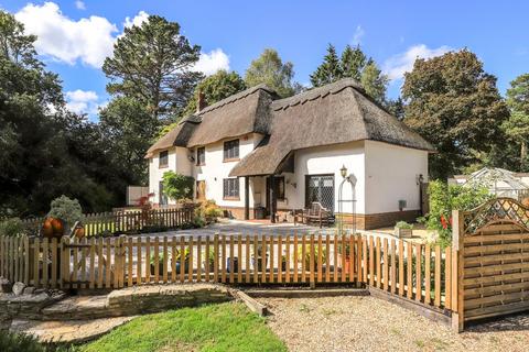 Three Birches Forest Lane, Hightown Hill, Ringwood, BH24 3HF