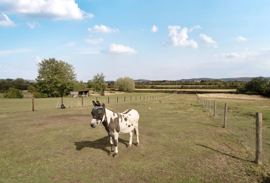 1348692-19-68bb2e...