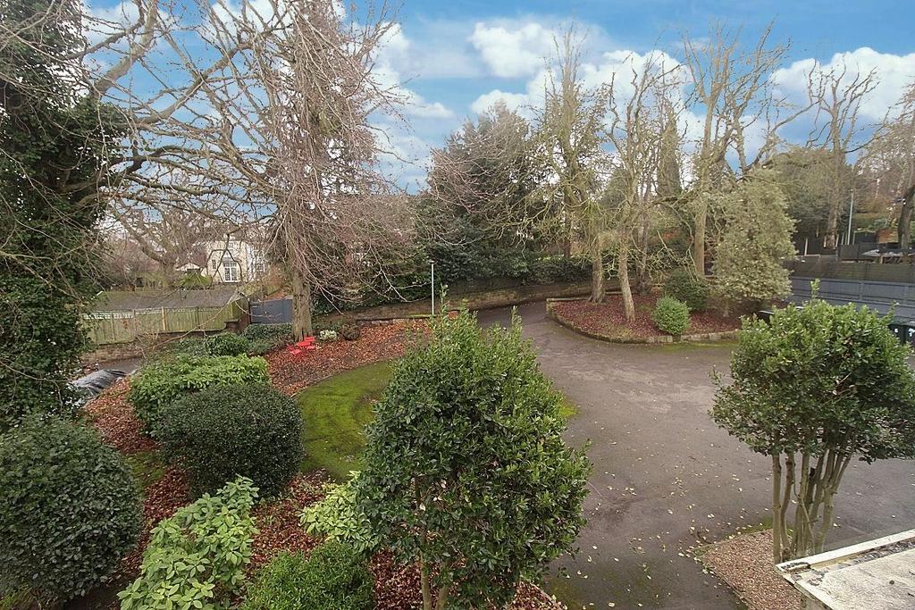 Garden view, garden