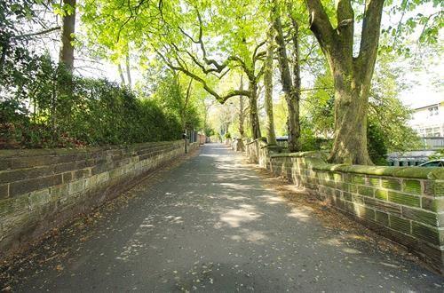 Driveway view