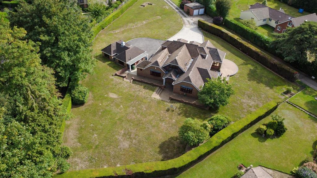 DJI 0029.jpg