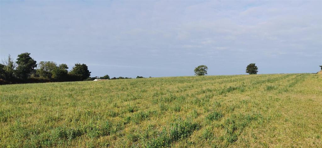 Field Looking Southwest