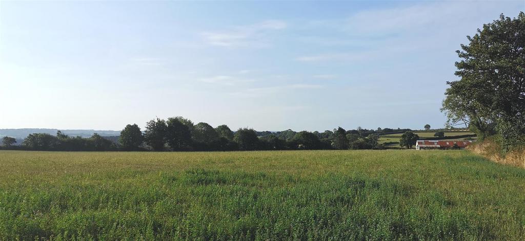 Field Looking South