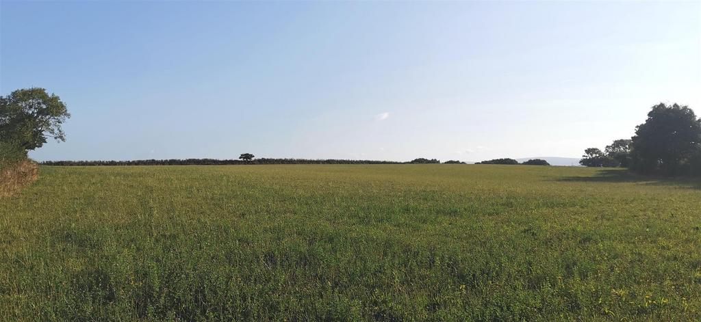 Field Looking North
